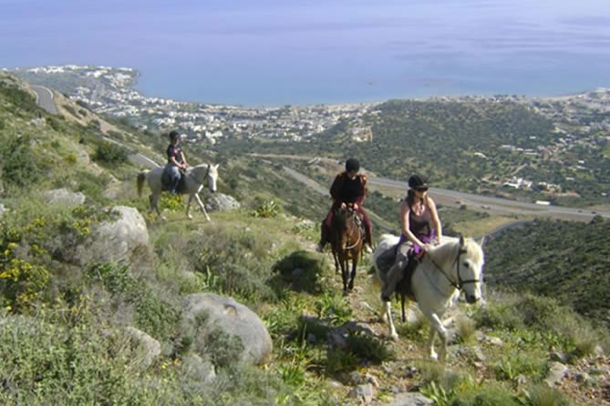 Horseback tour through olive groves and coastal landscapes in Crete